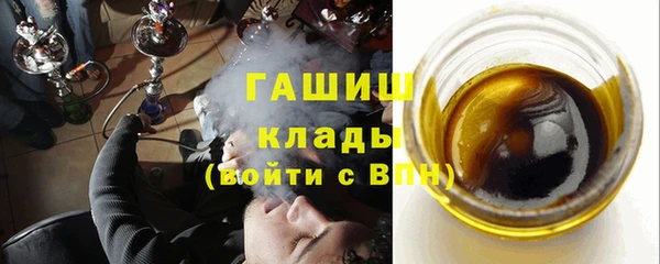дмт Бородино