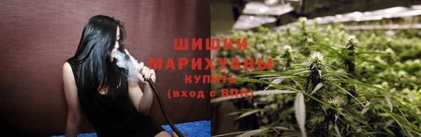 дмт Бородино