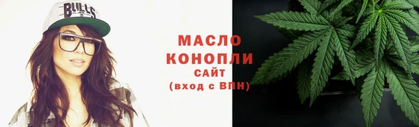 дмт Бородино