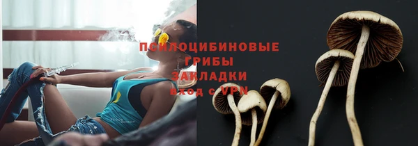 дмт Бородино