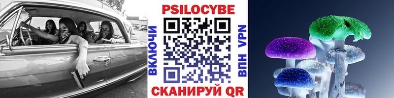 наркотики  Белая Холуница  Галлюциногенные грибы GOLDEN TEACHER 